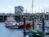 Wharf with fishing boats in front